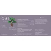Kép 4/5 - GAL Sensoril® Ashwagandha 60 kapszula