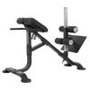 Kép 2/5 - Powertec Dual Hyperextenziós pad (P-HC)