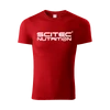 Kép 1/4 - Basic Scitec Nutrition póló férfi 