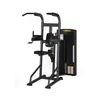 Kép 1/3 - Vector Fitness Orion Húzódzkodó / Tolódzkodó Gép 