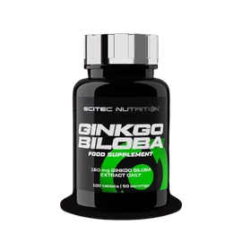 Ginkgo Biloba (100 Tab.)