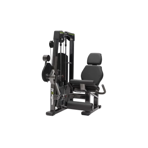 Leg Extension