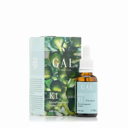 GAL K1-Vitamin 1000mcg K-Vitamin x 480 adag