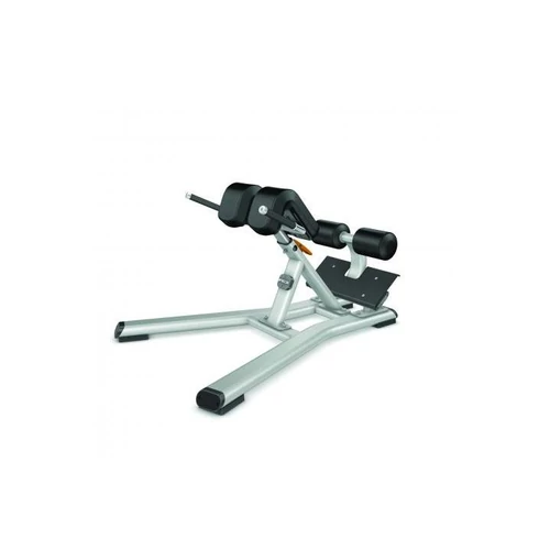 Precor Back Extension 