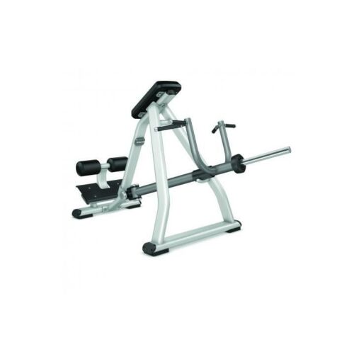 Precor Discovery Plate - Loaded Incline Lever Row