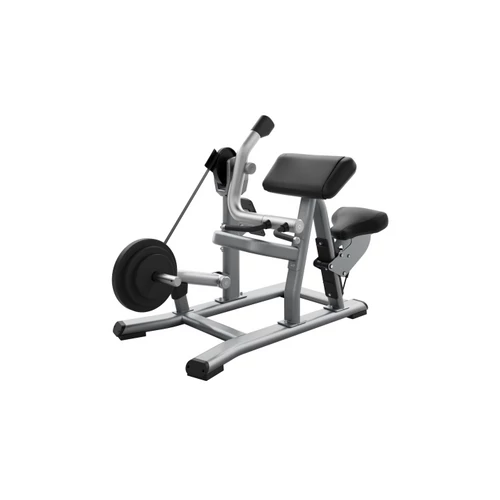 Precor Discovery Plate - Loaded Biceps Curl 